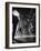 St. John's Defeating Bradley in a Basketball Game at Madison Square Garden-Gjon Mili-Framed Photographic Print