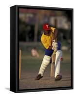 St. John's International Cricket Match, Antigua, Caribbean-Greg Johnston-Framed Stretched Canvas
