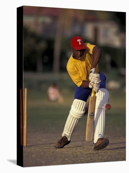 St. John's International Cricket Match, Antigua, Caribbean-Greg Johnston-Stretched Canvas