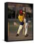 St. John's International Cricket Match, Antigua, Caribbean-Greg Johnston-Framed Stretched Canvas