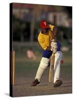 St. John's International Cricket Match, Antigua, Caribbean-Greg Johnston-Stretched Canvas