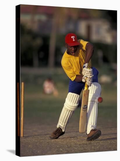 St. John's International Cricket Match, Antigua, Caribbean-Greg Johnston-Stretched Canvas