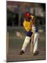 St. John's International Cricket Match, Antigua, Caribbean-Greg Johnston-Mounted Photographic Print