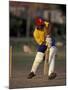 St. John's International Cricket Match, Antigua, Caribbean-Greg Johnston-Mounted Photographic Print