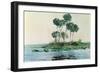 St. John's River, Florida, 1890-Winslow Homer-Framed Giclee Print