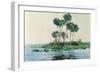 St. John's River, Florida, 1890-Winslow Homer-Framed Giclee Print