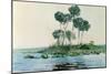 St. John's River, Florida, 1890-Winslow Homer-Mounted Giclee Print