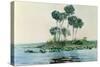 St. John's River, Florida, 1890-Winslow Homer-Stretched Canvas