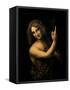 St. John the Baptist, 1513-16-Leonardo da Vinci-Framed Stretched Canvas