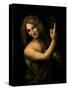 St. John the Baptist, 1513-16-Leonardo da Vinci-Stretched Canvas