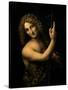 St. John the Baptist, 1513-16-Leonardo da Vinci-Stretched Canvas