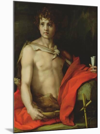 St. John the Baptist, 1522-Andrea del Sarto-Mounted Giclee Print