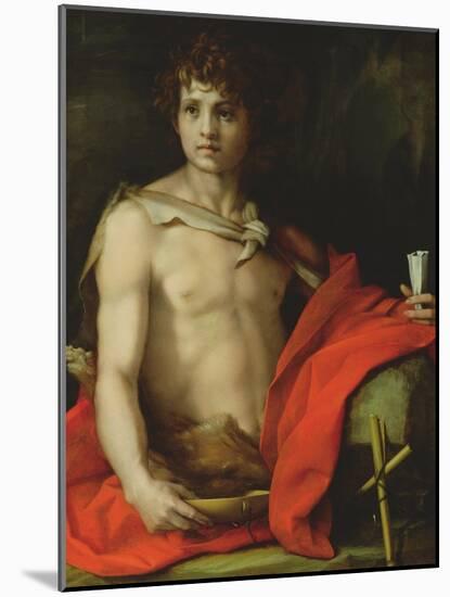 St. John the Baptist, 1522-Andrea del Sarto-Mounted Giclee Print