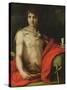 St. John the Baptist, 1522-Andrea del Sarto-Stretched Canvas