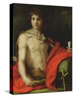 St. John the Baptist, 1522-Andrea del Sarto-Stretched Canvas