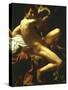 St John the Baptist, 1602-Caravaggio-Stretched Canvas