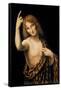 St. John the Baptist, 16th Century-Leonardo da Vinci-Framed Stretched Canvas