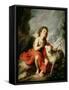 St. John the Baptist as a Child, c.1665-Bartolome Esteban Murillo-Framed Stretched Canvas