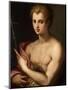 St. John the Baptist, C.1570-Michele Di Ridolfo Tosini-Mounted Giclee Print