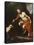 St. John the Baptist, c.1624-Jusepe de Ribera-Framed Stretched Canvas