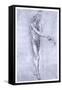 St John the Baptist, C1478-Leonardo da Vinci-Framed Stretched Canvas