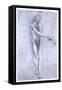 St John the Baptist, C1478-Leonardo da Vinci-Framed Stretched Canvas