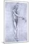 St John the Baptist, C1478-Leonardo da Vinci-Mounted Giclee Print