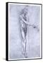 St John the Baptist, C1478-Leonardo da Vinci-Framed Stretched Canvas