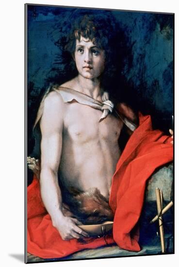 St John the Baptist, C1506-1530-Andrea del Sarto-Mounted Giclee Print