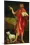 St. John the Baptist from the Isenheim Altarpiece, circa 1512-16-Matthias Grünewald-Mounted Giclee Print