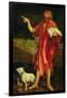 St. John the Baptist from the Isenheim Altarpiece, circa 1512-16-Matthias Grünewald-Framed Giclee Print