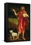 St. John the Baptist from the Isenheim Altarpiece, circa 1512-16-Matthias Grünewald-Framed Stretched Canvas