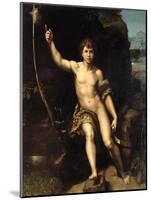 St. John the Baptist in the Desert, c.1518-20-Raphael-Mounted Giclee Print