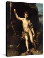 St. John the Baptist in the Desert, c.1518-20-Raphael-Stretched Canvas