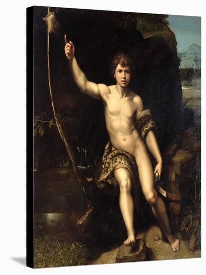 St. John the Baptist in the Desert, c.1518-20-Raphael-Stretched Canvas