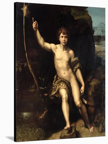 St. John the Baptist in the Desert, c.1518-20-Raphael-Stretched Canvas