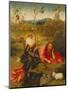 St. John the Baptist in the Desert-Hieronymus Bosch-Mounted Giclee Print