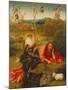 St. John the Baptist in the Desert-Hieronymus Bosch-Mounted Giclee Print