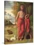 St. John the Baptist in the Wilderness, C.1525-Ortolano-Stretched Canvas