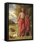 St. John the Baptist in the Wilderness, C.1525-Ortolano-Framed Stretched Canvas