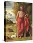 St. John the Baptist in the Wilderness, C.1525-Ortolano-Stretched Canvas