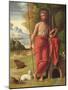 St. John the Baptist in the Wilderness, C.1525-Ortolano-Mounted Giclee Print