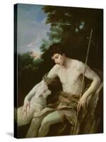 St. John the Baptist in the Wilderness, C.1625-Guido Reni-Stretched Canvas
