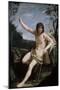 St. John the Baptist in the Wilderness, C.1636-37-Guido Reni-Mounted Giclee Print