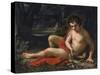 St. John the Baptist (Oil on Walnut Panel)-Anton Raphael Mengs-Stretched Canvas