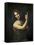 St. John the Baptist-Leonardo da Vinci-Framed Stretched Canvas