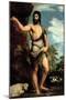 St. John the Baptist-Titian (Tiziano Vecelli)-Mounted Giclee Print
