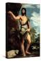 St. John the Baptist-Titian (Tiziano Vecelli)-Stretched Canvas