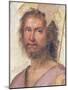 St. John the Baptist-Fra Bartolommeo-Mounted Giclee Print