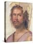 St. John the Baptist-Fra Bartolommeo-Stretched Canvas